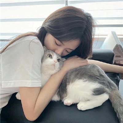 腼腆英雄